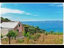 Dom wakacyjny Smokovlje - sea view and vineyard H(4) Bol - Wyspa Brac  - Chorwacja  - H(4): dom