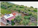 Dom wakacyjny Smokovlje - sea view and vineyard H(4) Bol - Wyspa Brac  - Chorwacja  - detal (dom i otoczenie)