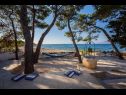 Dom wakacyjny Periska - on the beach : H(4+1) Mirca - Wyspa Brac  - Chorwacja  - widok (dom i otoczenie)