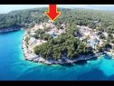 Apartamenty Deni - 70m from beach: A1(4+1) Zatoka Osibova (Milna) - Wyspa Brac  - Chorwacja  - dom