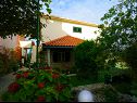 Apartamenty Ita 1 - with nice garden: A1 Ita (4), A2 Mariana (4), A3 Ivan (4+2) Postira - Wyspa Brac  - ogród (dom i otoczenie)