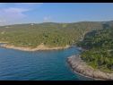 Dom wakacyjny Irena - secluded paradise; H(4+1) Zatoka Prapatna (Pucisca) - Wyspa Brac  - Chorwacja  - roślinność (dom i otoczenie)