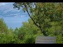 Dom wakacyjny Mare- close to the sea H(2) Zatoka Vela Lozna (Postira) - Wyspa Brac  - Chorwacja  - H(2): tarasa