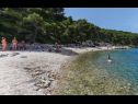 Dom wakacyjny Jelka - 50 m from beach: H(10+2) Okrug Donji - Wyspa Ciovo  - Chorwacja  - plaża