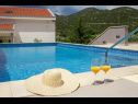 Dom wakacyjny Vedran - with beautiful lake view and private pool: H(7) Peracko Blato - Riwiera Dubrownik  - Chorwacja  - basen