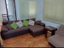 Apartamenty Silvana - 100 m from beach A1(4) Bozava - Wyspa Dugi otok  - Apartament - A1(4): pokój dzienny