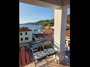 Apartamenty Silvana - 100 m from beach A1(4) Bozava - Wyspa Dugi otok  - Apartament - A1(4): tarasa