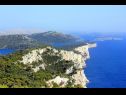 Dom wakacyjny Nature park - relaxing and comfortable: H(4) Telascica - Wyspa Dugi otok  - Chorwacja  - roślinność (dom i otoczenie)