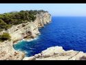Dom wakacyjny Nature park - relaxing and comfortable: H(4) Telascica - Wyspa Dugi otok  - Chorwacja  - roślinność (dom i otoczenie)