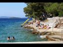 Dom wakacyjny Nature park - relaxing and comfortable: H(4) Telascica - Wyspa Dugi otok  - Chorwacja  - plaża