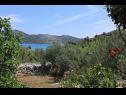 Dom wakacyjny Nature park - relaxing and comfortable: H(4) Telascica - Wyspa Dugi otok  - Chorwacja  - H(4): widok