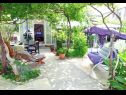 Dom wakacyjny Zeljko - with nice garden: H(5) Sucuraj - Wyspa Hvar  - Chorwacja  - dom