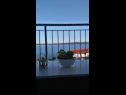 Apartamenty Jela - terrace and sea view A1(4+2) Zavala - Wyspa Hvar  - Apartament - A1(4+2): widok