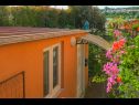 Apartamenty Orange - garden terrace : SA1(2+1) Banjole - Istria  - dom