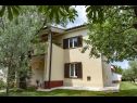 Apartamenty Roma - with terrace : A1(4) Fazana - Istria  - dom