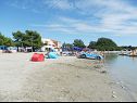 Apartamenty Real - 10 m from sea : A7(2+2), A8(2+2) Medulin - Istria  - plaża