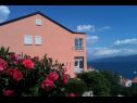 Apartamenty Jenny - sea view: A1(2+2) Ravni - Istria  - dom