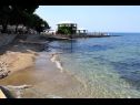 Apartamenty Eli - 50m from the sea: A3(4) Umag - Istria  - plaża