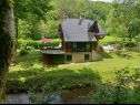 Dom wakacyjny Riverside house - beautiful nature: H(6) Zumberak - Kontynentalne Chorwacja - Chorwacja  - dom