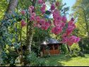 Dom wakacyjny Riverside house - beautiful nature: H(6) Zumberak - Kontynentalne Chorwacja - Chorwacja  - kwiaty