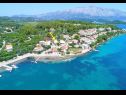 Apartamenty Relax - 50 m from sea: A1(2+2) Lumbarda - Wyspa Korcula  - roślinność (dom i otoczenie)