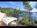 Dom wakacyjny Niso - with pool H(12+2) Zatoka Mikulina luka (Vela Luka) - Wyspa Korcula  - Chorwacja  - H(12+2): widok z tarase
