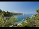 Dom wakacyjny Villa Bistrana - 15m from sea: H(4) Zatoka Tankaraca (Vela Luka) - Wyspa Korcula  - Chorwacja  - widok
