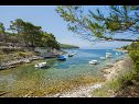 Dom wakacyjny Villa Bistrana - 15m from sea: H(4) Zatoka Tankaraca (Vela Luka) - Wyspa Korcula  - Chorwacja  - plaża