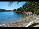 Dom wakacyjny Senka1 - pure nature & serenity: H(2) Zatoka Tudorovica (Vela Luka) - Wyspa Korcula  - Chorwacja  - plaża