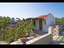 Dom wakacyjny Senka1 - pure nature & serenity: H(2) Zatoka Tudorovica (Vela Luka) - Wyspa Korcula  - Chorwacja  - dom