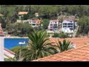 Apartamenty Niks - terrace & sea view: A1(4), A2(2) Vela Luka - Wyspa Korcula  - widok (dom i otoczenie)