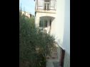 Apartamenty Marija - olive garden: A1(2+1) Omisalj - Wyspa Krk  - dom