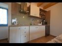 Apartamenty Insula Insule - rustic & peaceful: SA1(2+1), SA2(2+1) Skrbcici - Wyspa Krk  - Studio apartament - SA2(2+1): kuchnia