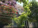Apartamenty Secret garden - seaview: A1(4), A2(2) Brela - Riwiera Makarska  - dom