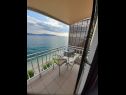 Apartamenty Danka - affordable and at the beach: SA1(2) Brist - Riwiera Makarska  - Studio apartament - SA1(2): balkon