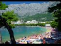 Apartamenty Sunny - quiet and relaxing A1(2+2), A2(2+1) Makarska - Riwiera Makarska  - plaża