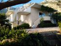 Apartamenty Viki - seaview & garden terrace: A1(6) Makarska - Riwiera Makarska  - dom