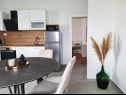 Apartamenty Rina A1(4), A2(3), A3(3) Nevidane - Wyspa Pasman  - Apartament - A2(3): kuchnia z jadalnią