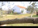 Dom wakacyjny Pavica K H(5) Pasman - Wyspa Pasman  - Chorwacja  - H(5): detal (dom i otoczenie)