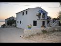 Apartamenty Glory - 100m from beach; A1(4) Zdrelac - Wyspa Pasman  - dom