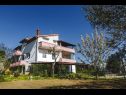 Apartamenty Davorka - with sea view: A1(4+1), A2(4+1) Kampor - Wyspa Rab  - dom