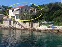Apartamenty Nikola - in front of the sea: A1(4) Zatoka Donja Krusica (Donje selo) - Wyspa Solta  - Chorwacja  - dom