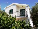 Apartamenty Elizabet - great location & close to the beach: A1(4+2), A2(2+2) Maslinica - Wyspa Solta  - dom