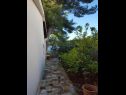 Dom wakacyjny More - sea view: H(2) Maslinica - Wyspa Solta  - Chorwacja  - ogród
