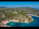 Dom wakacyjny Villa Ante - with pool: H(6) Rogac - Wyspa Solta  - Chorwacja  - roślinność (dom i otoczenie)