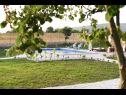 Dom wakacyjny Villa Solis - luxury with pool: H(6) Dicmo - Riwiera Split  - Chorwacja  - dziedziniec