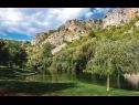 Dom wakacyjny Jasna - big garden: H(4+2) Srijane - Riwiera Split  - Chorwacja  - detal