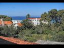 Apartamenty MiMa - 150 m from the beach: A1(2+2), A3(5), A2(2+2) Susica - Wyspa Ugljan  - widok na morze (dom i otoczenie)