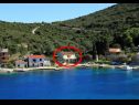 Apartamenty Roki - 10 m from beach: A1(6+2) Veliki, A2(2+2) Mali Zatoka Rogacic (Vis) - Wyspa Vis  - Chorwacja  - roślinność (dom i otoczenie)
