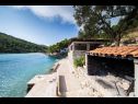 Dom wakacyjny Vinkli - amazing sea view H(8) Zatoka Stoncica (Vis) - Wyspa Vis  - Chorwacja  - rożen (dom i otoczenie)
